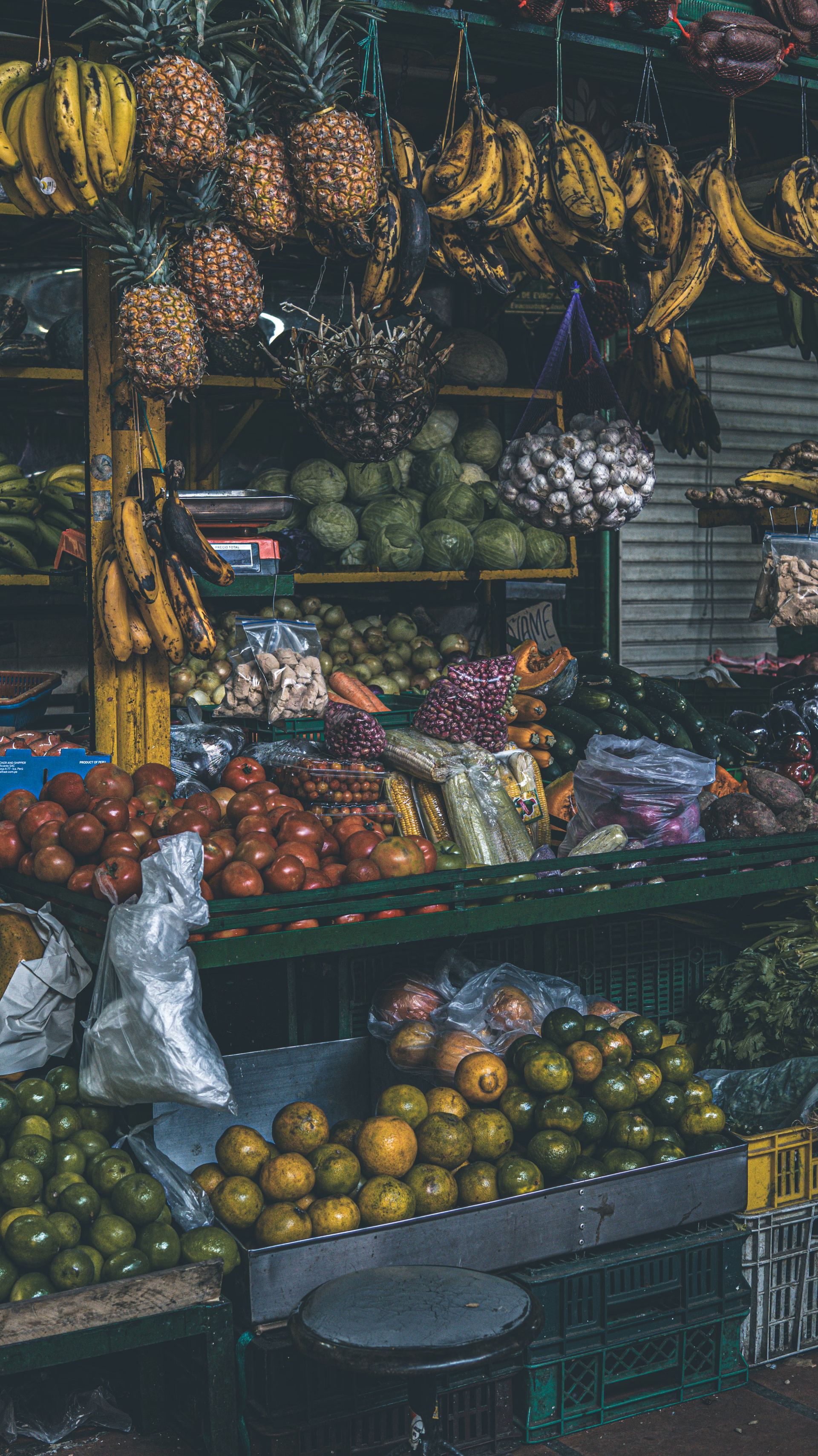 Ruta de la fruta